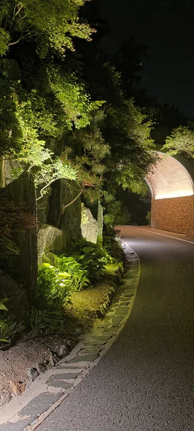 Korean Street & Forest aesthetic wallpaper for phone