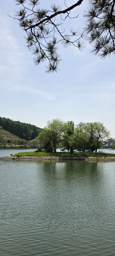 Korean Nature & River & Lake & Mountains & Trails aesthetic wallpaper for phone