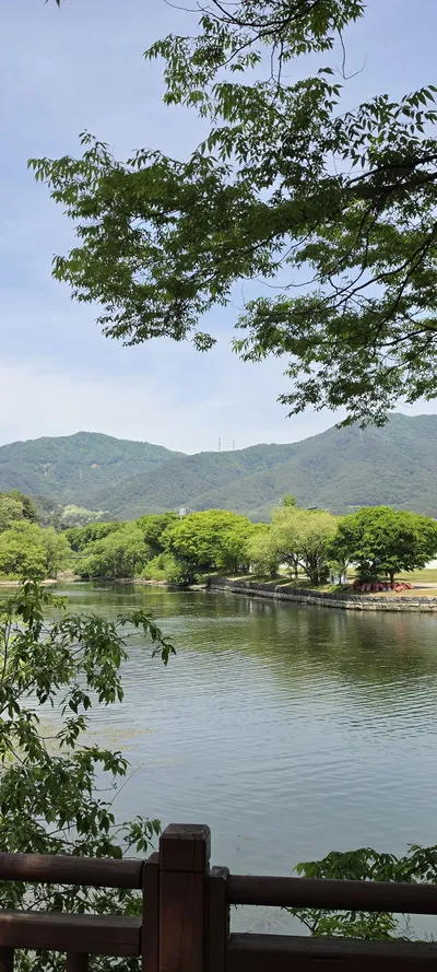 Korean River & Lake & Parks & Gardens & Nature aesthetic wallpaper for phone