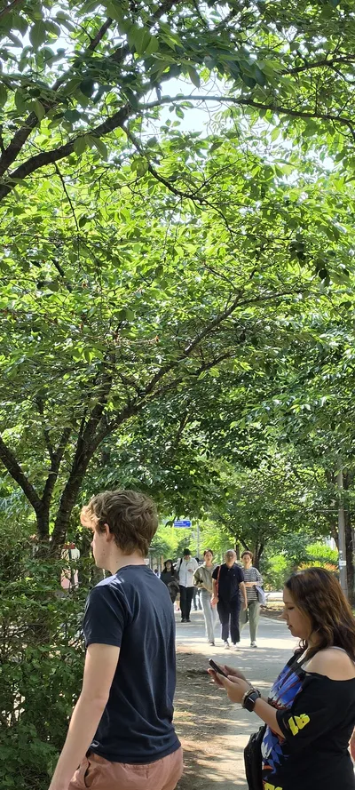 Korean Parks & Gardens & Street & Nature aesthetic wallpaper for phone