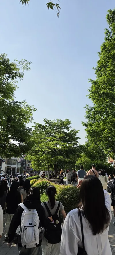 Korean Parks & Gardens & Street & Nature aesthetic wallpaper for phone