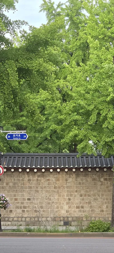 Korean Hanok & Street & Parks & Gardens aesthetic wallpaper for phone
