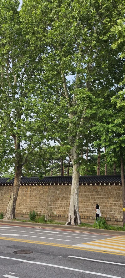 Korean Hanok & Street & Architecture aesthetic wallpaper for phone