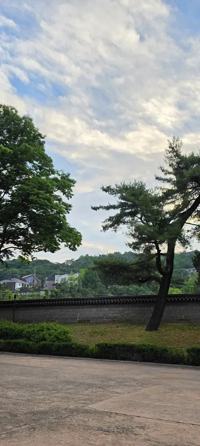 Korean Parks & Gardens & Nature & Architecture aesthetic wallpaper for phone