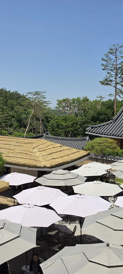 Korean Hanok & Temples & Mountains & Trails aesthetic wallpaper for phone