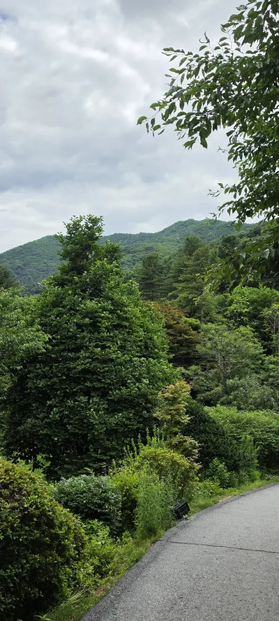 Korean Parks & Gardens & Nature & Mountains & Trails aesthetic wallpaper for phone