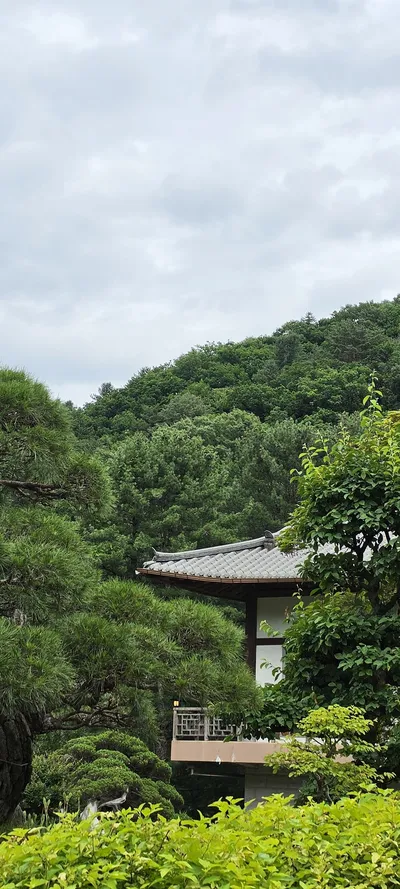 Korean Parks & Gardens & Nature & Mountains & Trails aesthetic wallpaper for phone