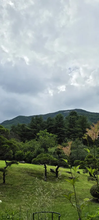 Korean Parks & Gardens & Nature & Mountains & Trails aesthetic wallpaper for phone