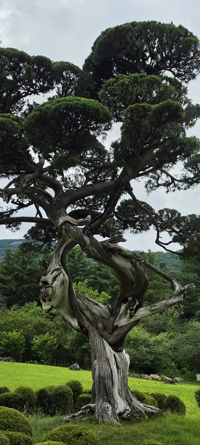 Gapyeong-gun