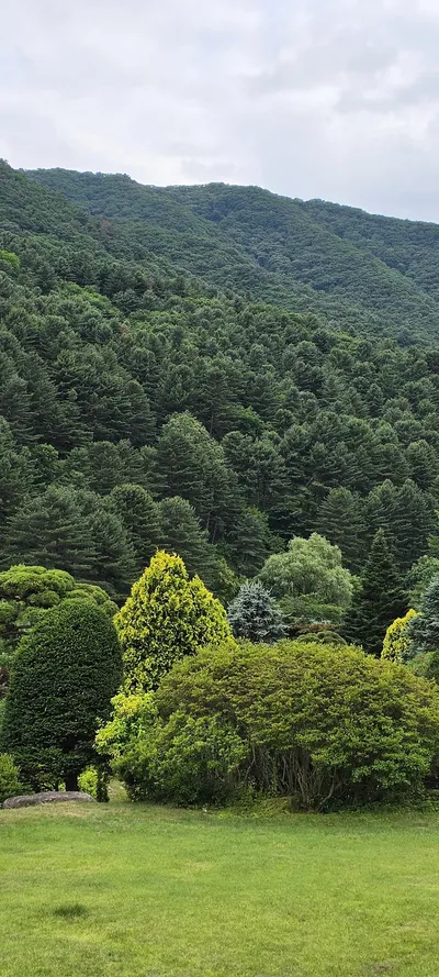 Gapyeong-gun