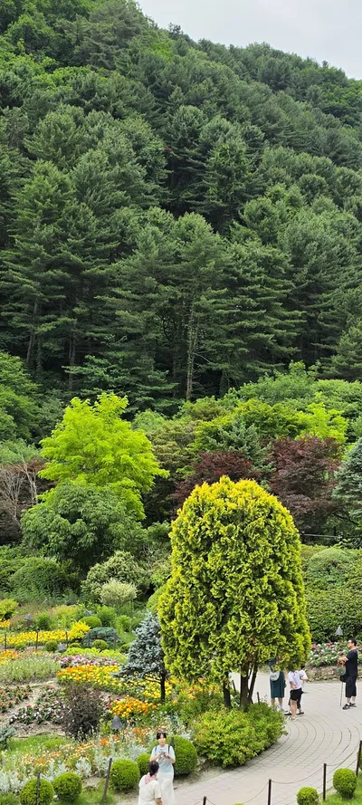 Gapyeong-gun