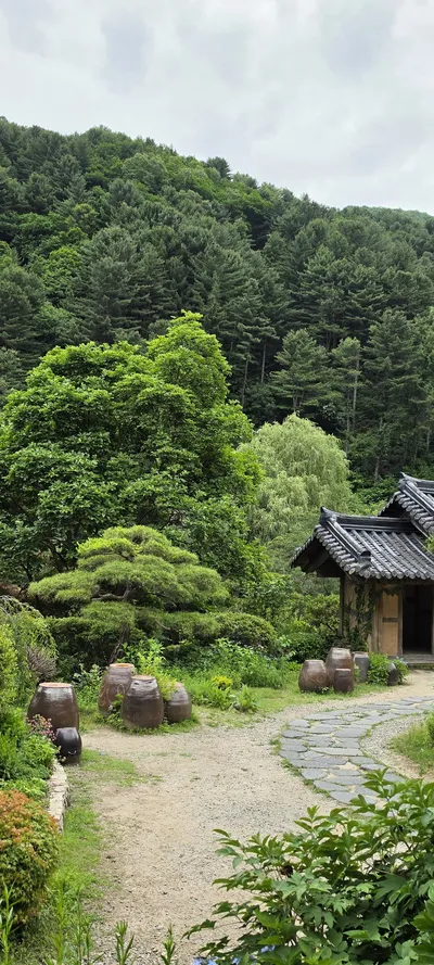 Korean Hanok & Parks & Gardens & Nature aesthetic wallpaper for phone