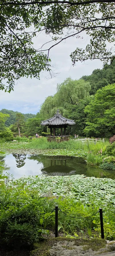 Korean Hanok & Parks & Gardens & Nature aesthetic wallpaper for phone