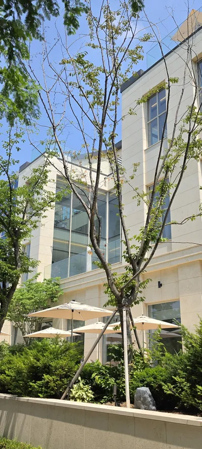 Korean Architecture & Cafe Culture & Nature aesthetic wallpaper for phone