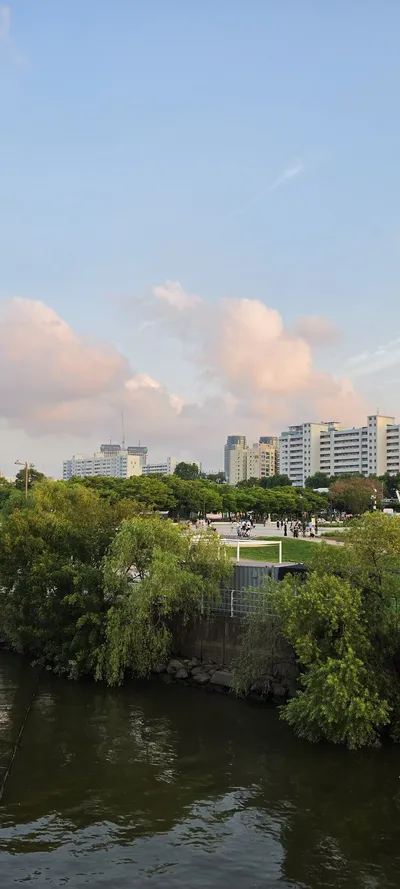 Korean Parks & Gardens & River & Lake & Sunset & Nature aesthetic wallpaper for phone