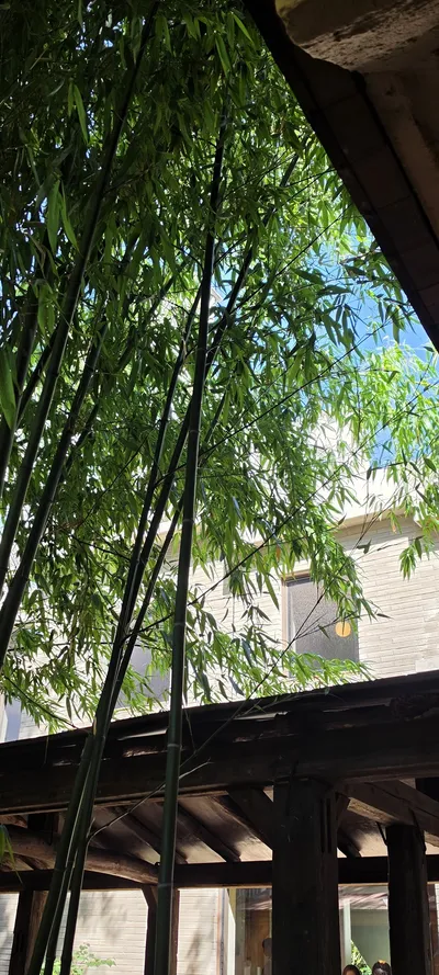 Korean Cafe Culture & Architecture & Nature aesthetic wallpaper for phone