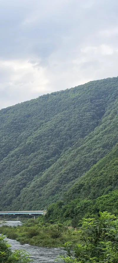 Korean Mountains & Trails & Forest & River & Lake & Nature aesthetic wallpaper for phone