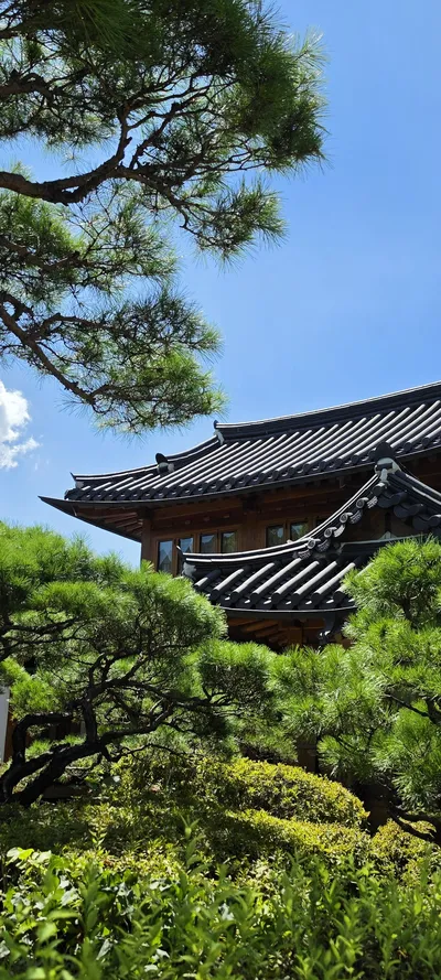 Korean Hanok & Nature & Architecture aesthetic wallpaper for phone