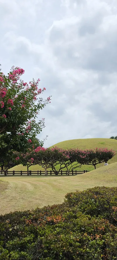 Korean Parks & Gardens & Flowers & Architecture aesthetic wallpaper for phone