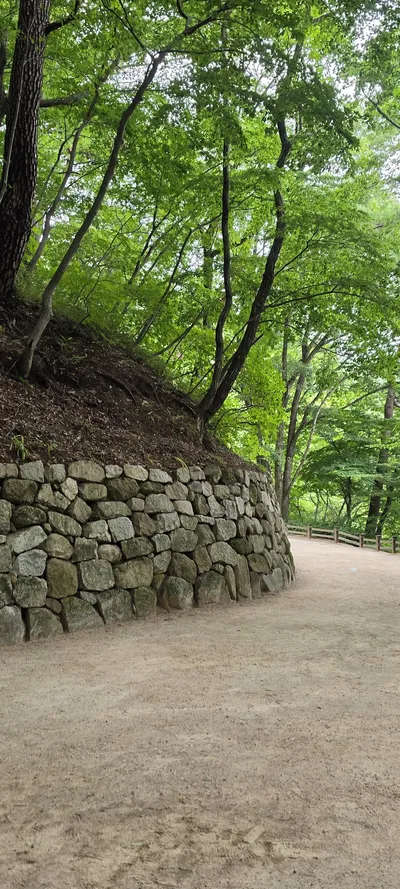Korean Temples & Forest & Mountains & Trails aesthetic wallpaper for phone