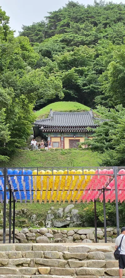 Korean Temples & Forest & Architecture aesthetic wallpaper for phone
