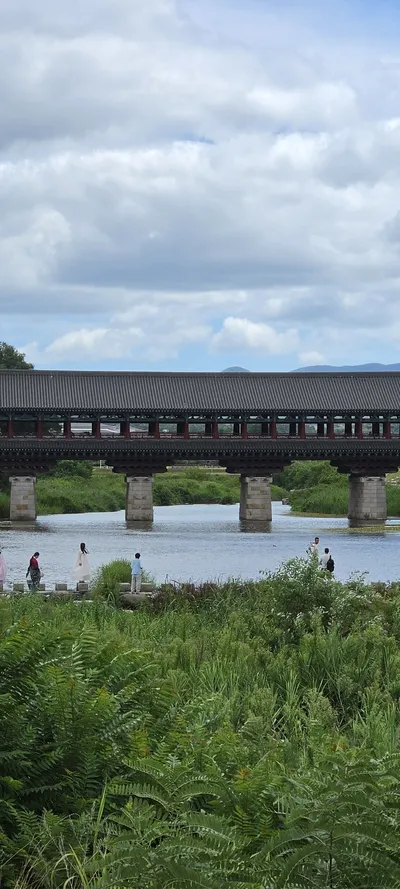 Korean Architecture & River & Lake & Nature aesthetic wallpaper for phone
