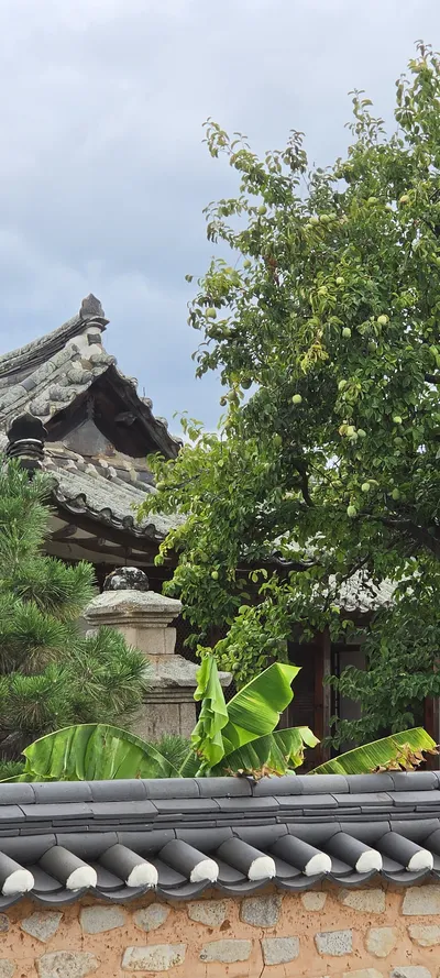Korean Hanok & Nature & Architecture aesthetic wallpaper for phone