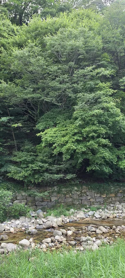 Korean River & Lake & Forest & Architecture aesthetic wallpaper for phone