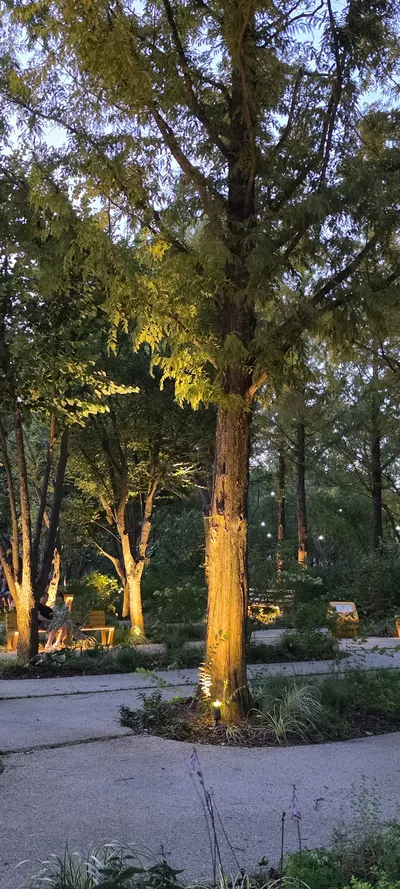 韓国の公園・庭園・森・夜景の無料壁紙