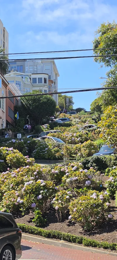 Street & Flowers travel wallpaper