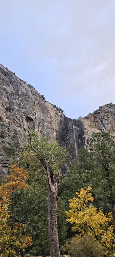 紅葉・山・トレイル・森の旅の壁紙
