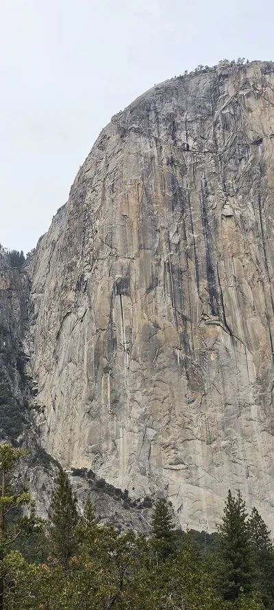 山・トレイル・森の旅の壁紙