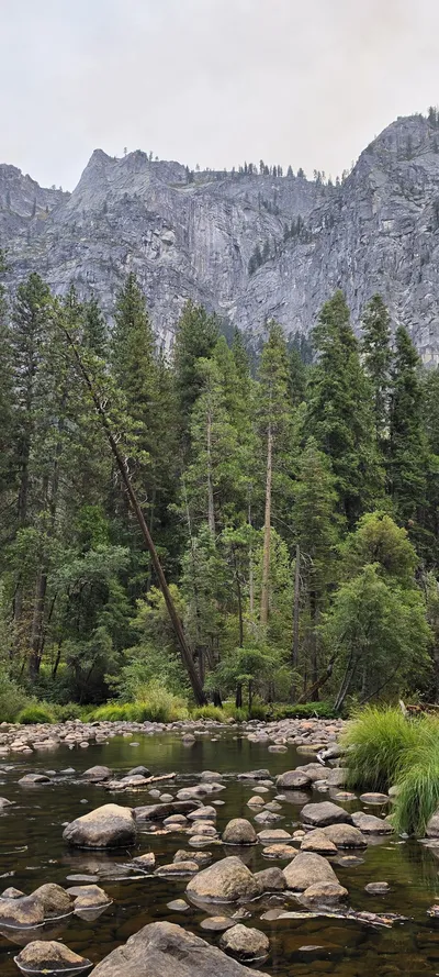 River & Lake & Forest & Mountains & Trails travel wallpaper