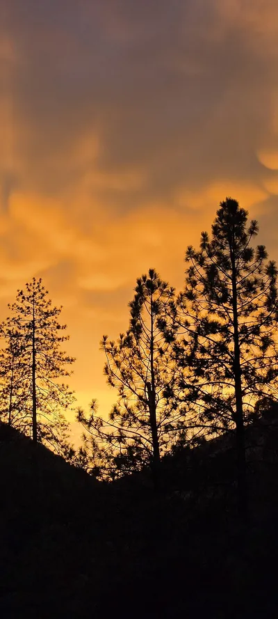 Mariposa County, United States
