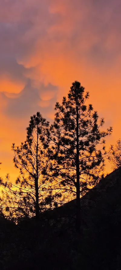 Mariposa County, United States