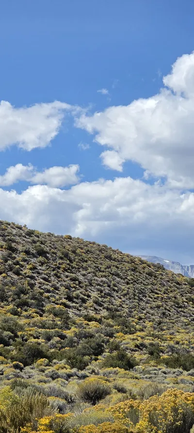 Mono County, United States