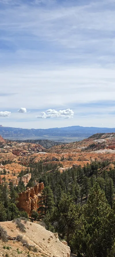 Garfield County, United States