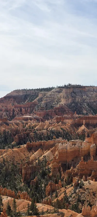 Garfield County, United States