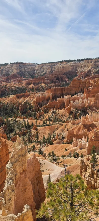 Garfield County, United States