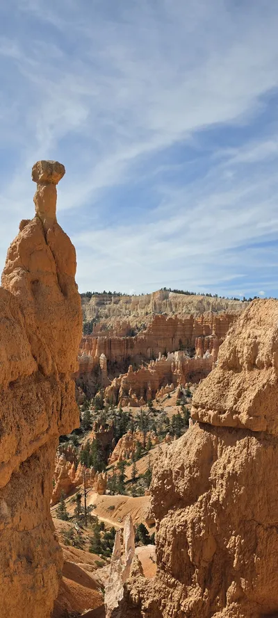 Garfield County, United States