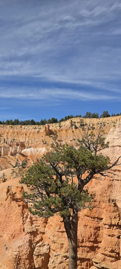 Garfield County, United States