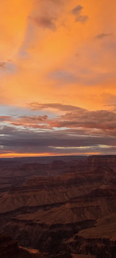 Coconino County, United States