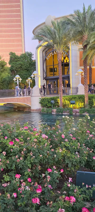Flowers & Parks & Gardens travel wallpaper