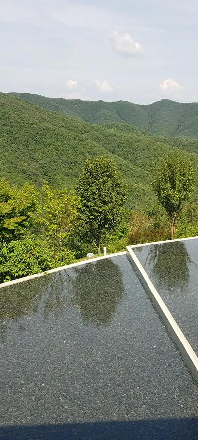 山・トレイル
