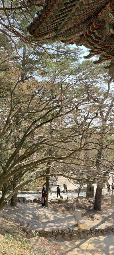 Nature